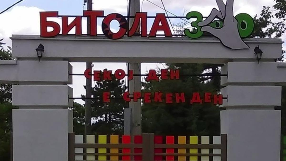 Нови животни во ЗОО Битола: Африканска мачка, птици, берберска овца и американски ракун