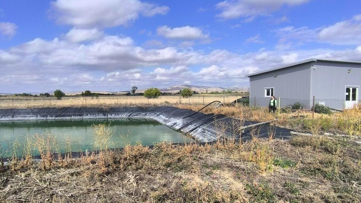 Откриена голема злоупотреба на субвенции: Пријавувале необработено земјиште за државна поддршка