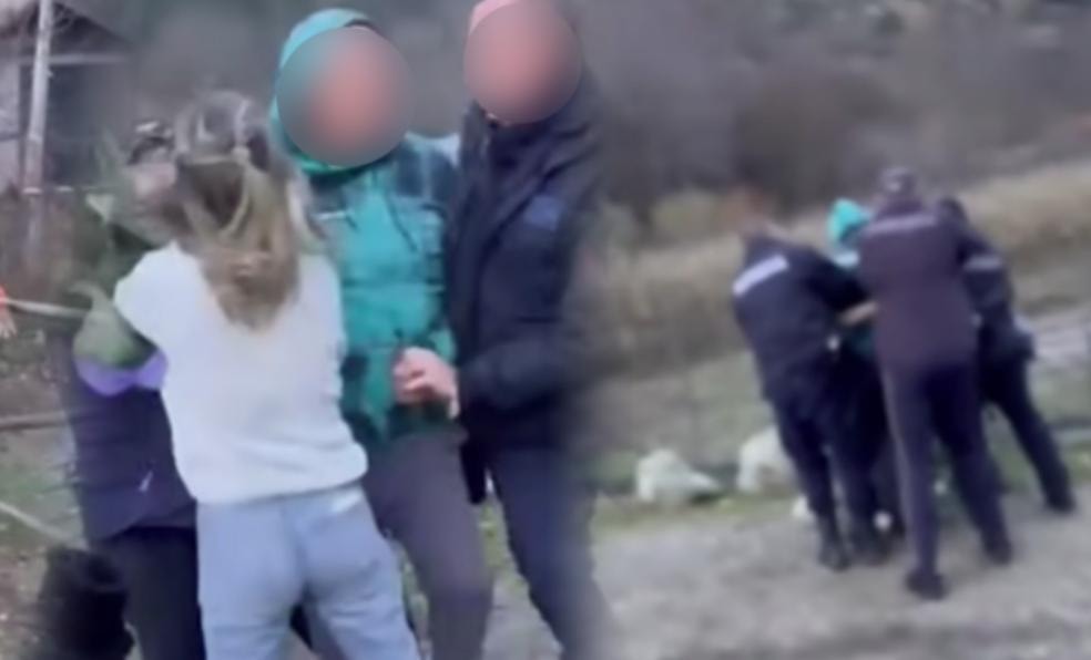 Предложен притвор за сопственикот на кравите и двете негови ќерки во кривопаланечко