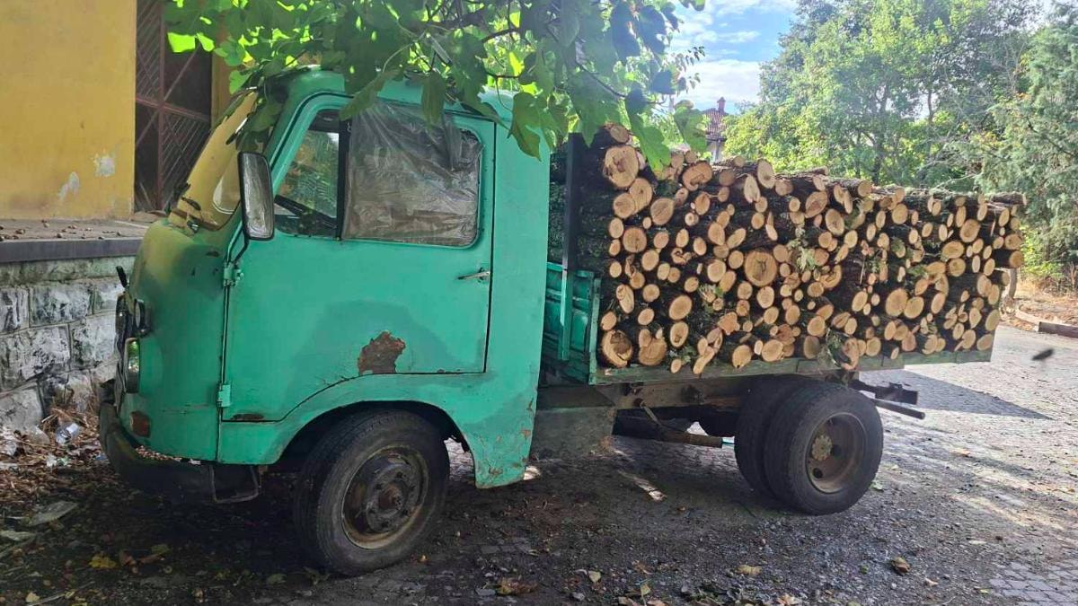 Шумската полиција заплени над 500 кубни метри дрва и поднесе 140 пријави